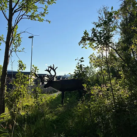 Flott Leilighet, Nydelig - Gratis Parkering