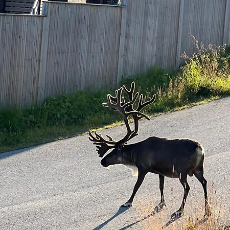 Apartment Flott Leilighet, Nydelig - Gratis Parkering Tromso