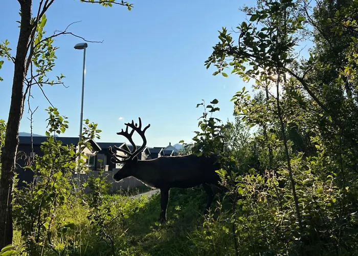 Flott Leilighet, Nydelig - Gratis Parkering