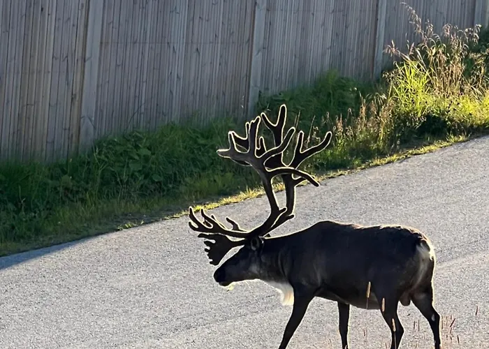 Appartamento Flott Leilighet, Nydelig - Gratis Parkering Tromsø